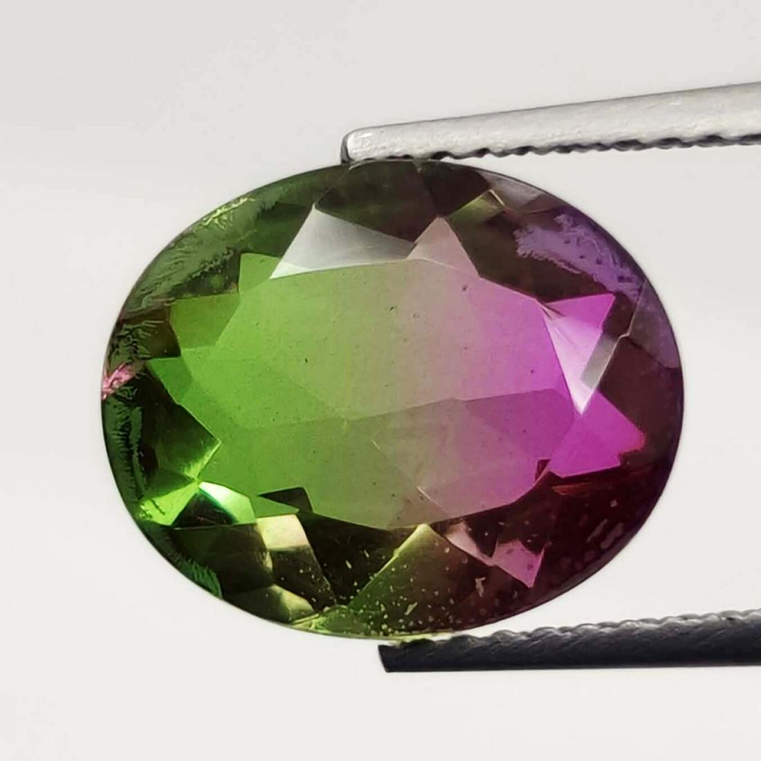 4.30 Ct "Beautiful" Watermelon Triplet Quartz (1 of 3)