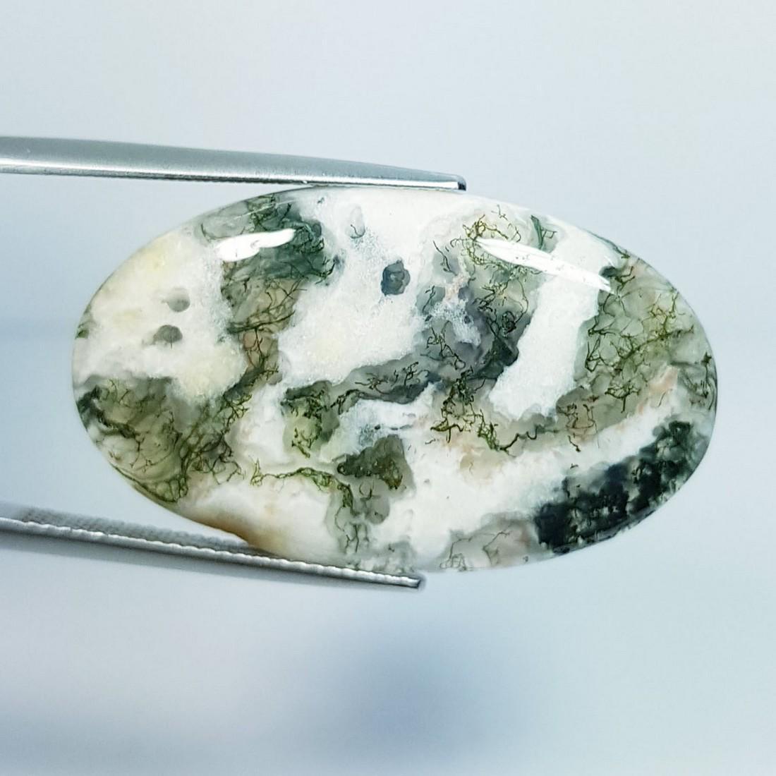 27.55 Ctz Natural Tree Jasper (1 of 4)