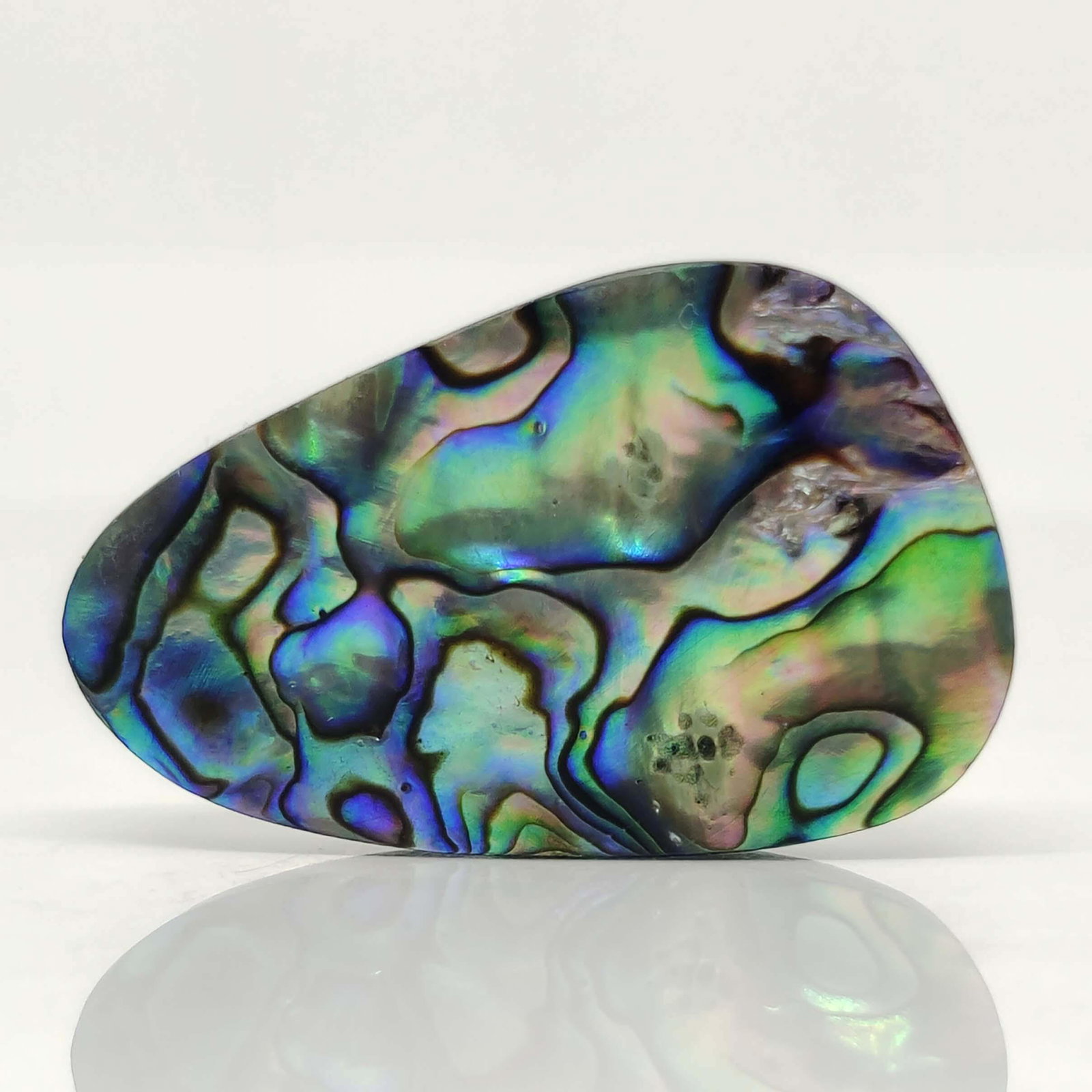 35.40 ct Natural Australian Abalone Shell (1 of 2)