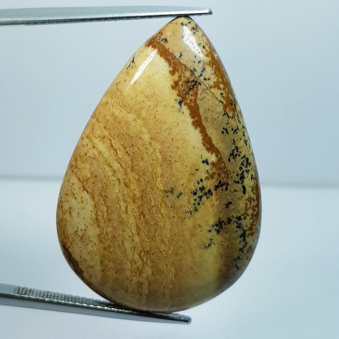 38.89 Ctz Natural Picture Jasper: No Reserve! Title: 38.89 Ctz Natural Picture Jasper Color/Clarity: Brown Mix / Opaque Gemstone: Jasper Carat Weights: 38.89 Size: 35.80 x 24.85 x 6.00 Additional Information: Pear / Brazil Shipping: D