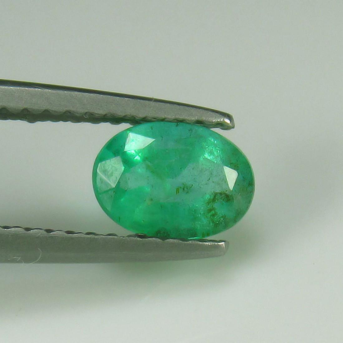 Natural Emerald - 0.67 Ct (1 of 2)