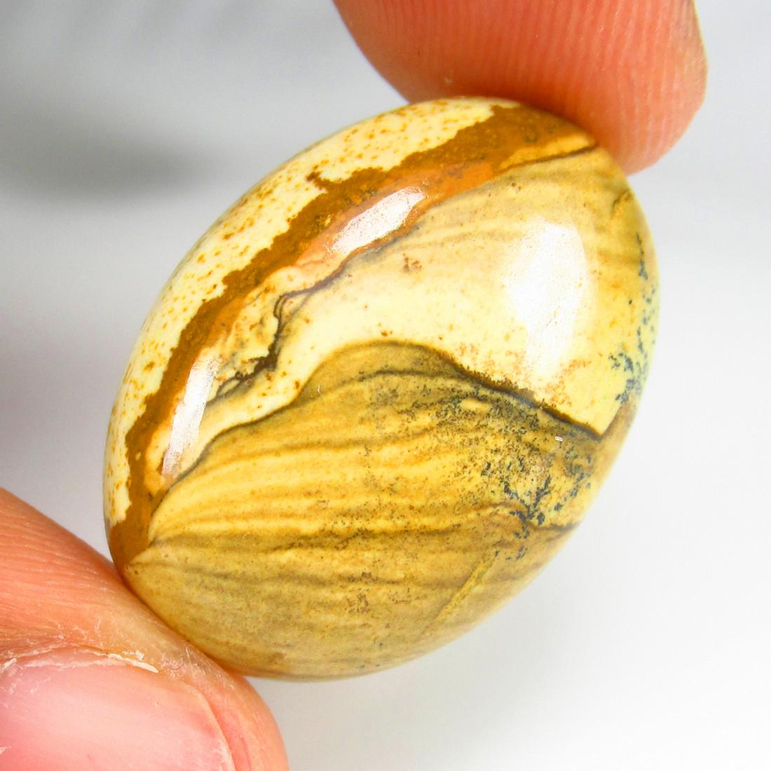 Natural Picture Jasper - 23.13 Ct (1 of 2)