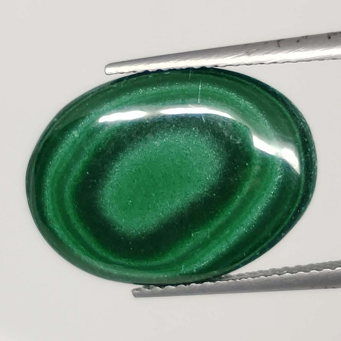 10.45 ct Natural Malachite: No Reserve! Gemstones: Natual Malachite Carat Weights: 10.45 ct Size/Dimensions: 19.60 X 14.40 mm Shipping: Domestic: Flat-rate of $7.00 to anywhere within the contiguous U.S. International: Foreign s