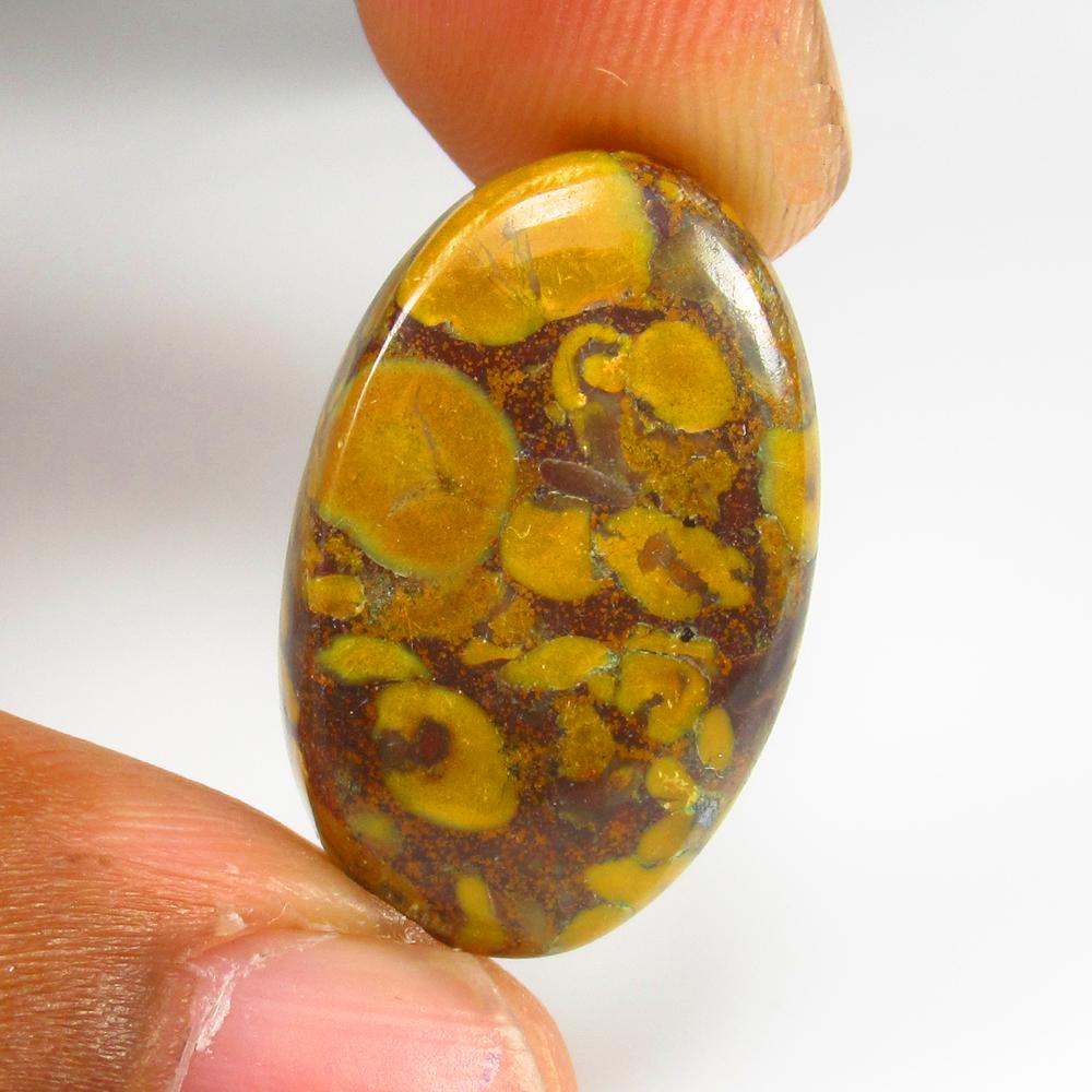 17.29 Ct - Natural Fruit Jasper: No Reserve! Title: 17.29 Ct - Natural Fruit Jasper Additional Information: Gemstone Metal Purity: - Gemstones: Jasper Carat Weights: 17.29 Size/Dimensions: 25.0 x 16.0 x 5.0 mm Additional Information: