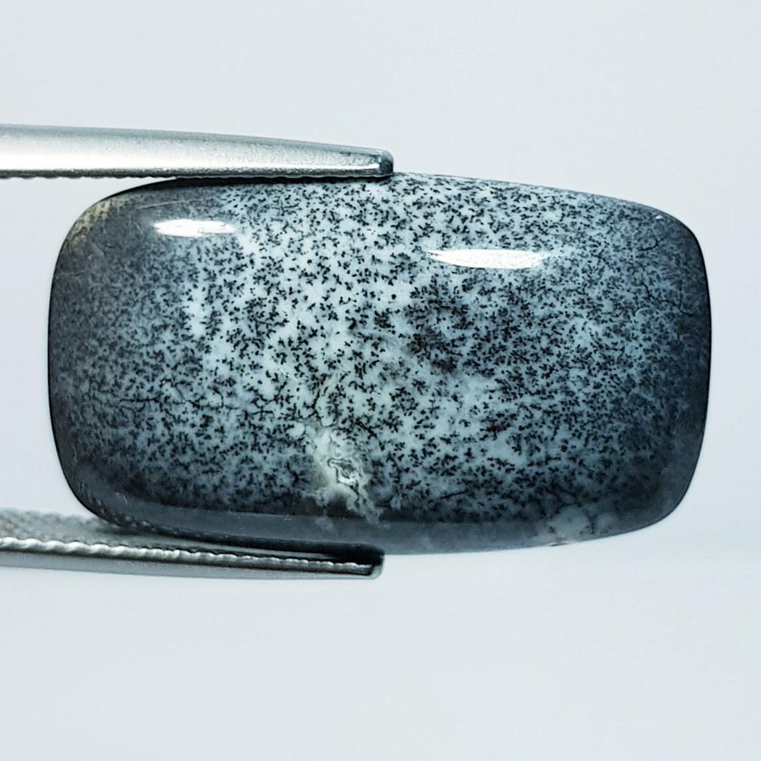 12.30 ctz " Fine Collection" Narural Dendritic opal (1 of 4)