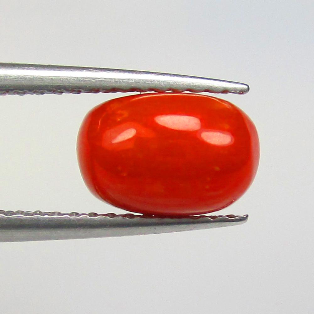 2.01 Ctw Natural Italian Red Coral Cabsule Cab: No Reserve! Title: 2.01 Ctw Natural Italian Red Coral Cabsule Cab Stone Clarity: Opaque Gemstones: Natural Coral Carat Weights: 2.01 Size/Dimensions: 8.60 x 5.70 x 5.00 mm Additional Information: Exce