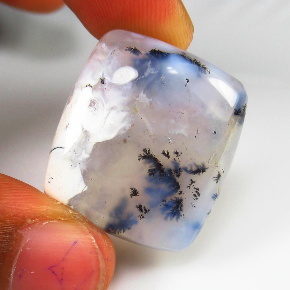 36.75 Ct - Natural Palm Ocean Jasper: No Reserve! Title: 36.75 Ct - Natural Palm Ocean Jasper Additional Information: Gemstone Gemstones: Jasper Carat Weights: 36.75 Size/Dimensions: 26.0 x 24.0 x 6.1 mm Additional Information: Pieces : 1