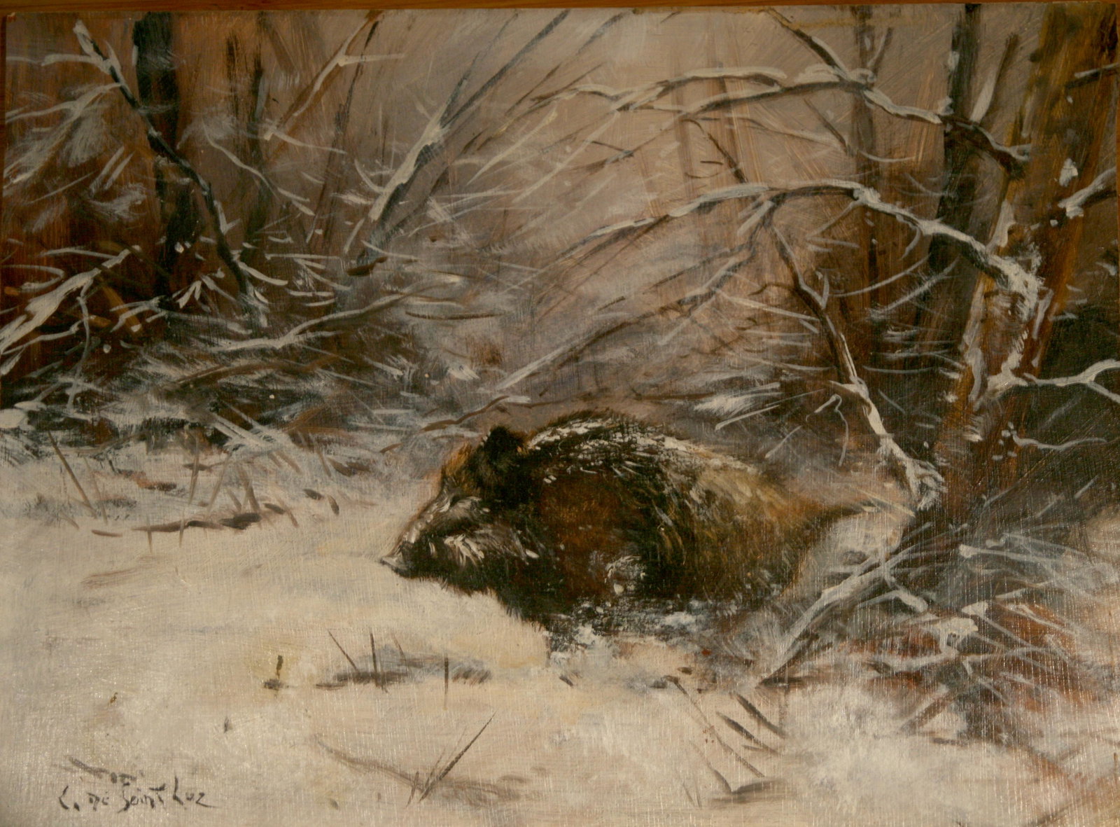 C. de Saint Luz wild boar in the snow painting: C. de Saint Luz is a local animalier painter of wild boar from France near the Ardene . Oil painting on wood board . 16 x 13 Reserve: $120.00 Shipping: Domestic: Flat-rate of $45.00 to anywhere within