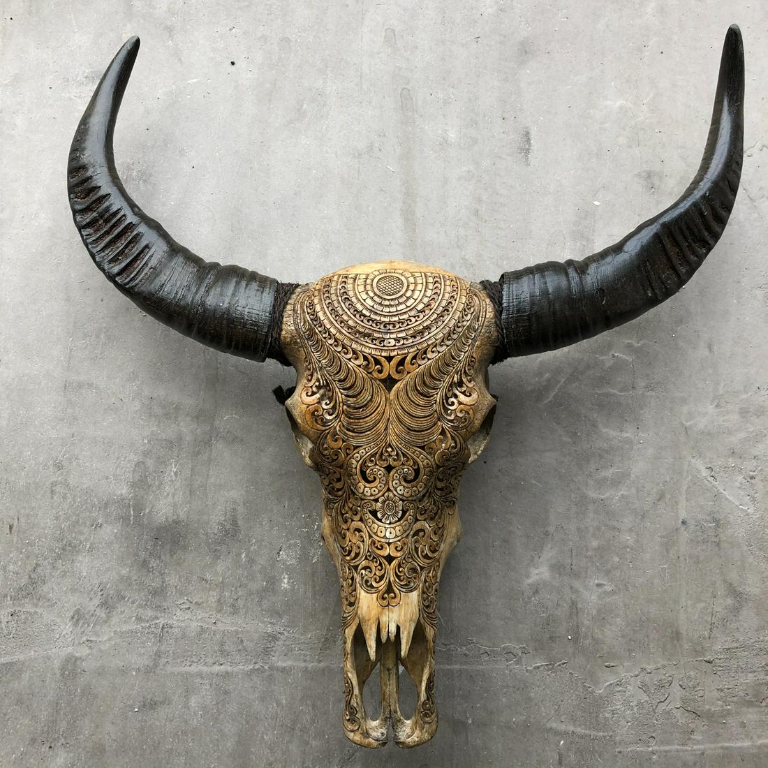 Brown water buffalo skull - Lotus motif: Title: Brown water buffalo skull - Lotus motif Maker: Unknown Origin: Indonesia Date/Period: 2022 Materials: Bubalus Bubalis, Bone, Horn Dimensions:Height: 78 cm / 30.7 inches Width: 79 cm / 31.1 inch