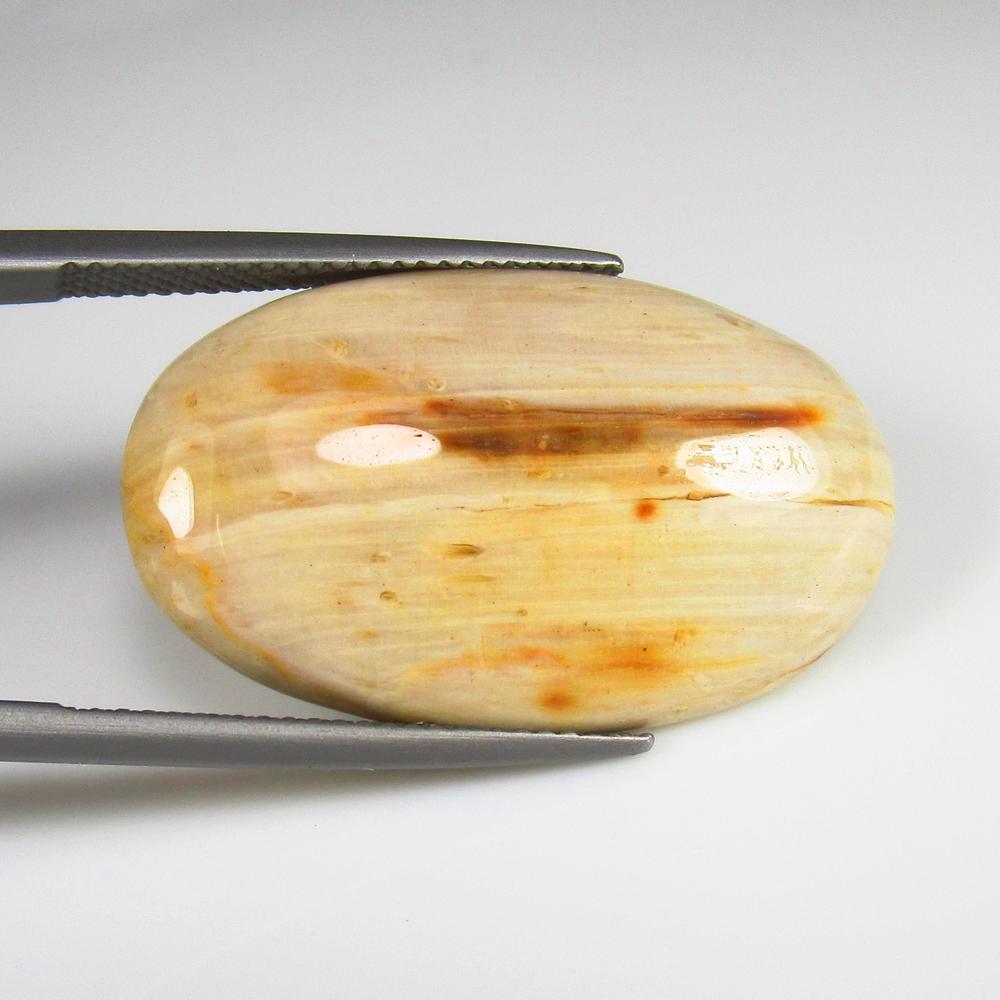 Natural Fossil Jasper - 18.31 Ct: No Reserve! Title: Natural Fossil Jasper - 18.31 Ct Origin: Brazil Weight: 18.31 Size/Dimensions: 30.0 x 17.7 x 5.6 mm Additional Information: Pieces : 1 No's / Shape : Oval Cabochon / Color : Sandal
