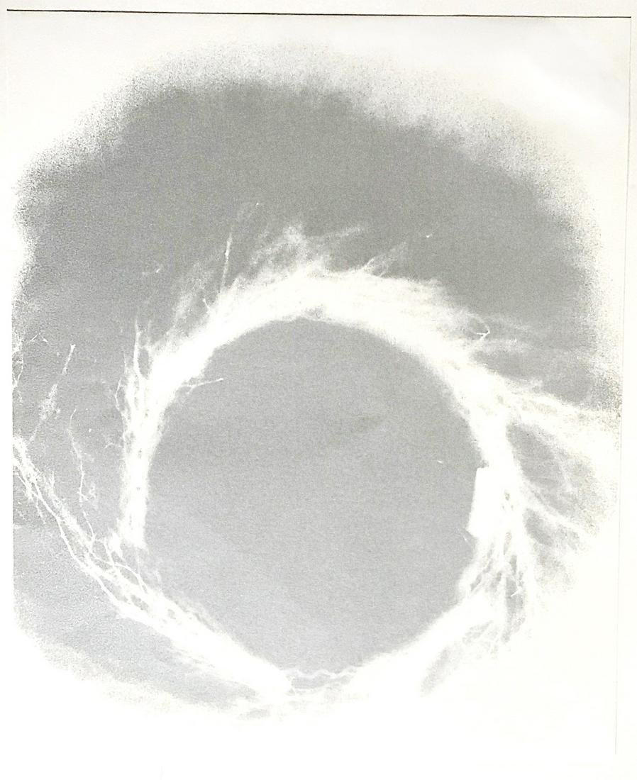 Kim Gordon: Untitled 2012 (1 of 1)