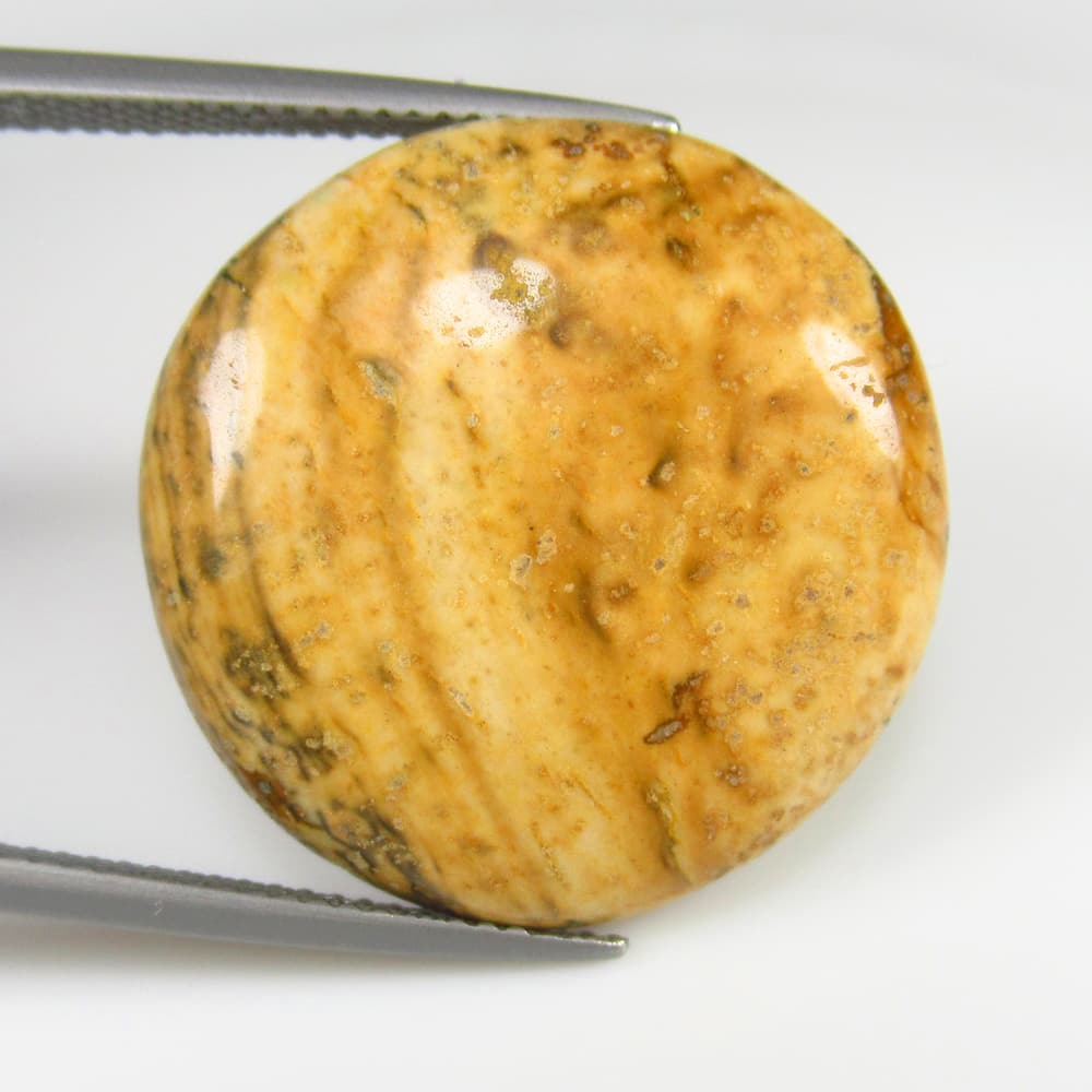 Natural Fossil Jasper - 18.81 Ct: No Reserve! Title: Natural Fossil Jasper - 18.81 Ct Origin: Brazil Weight: 18.81 Size/Dimensions: 23.0 x 23.0 x 5.0 mm Additional Information: Pieces : 1 No's / Shape : Round Cabochon / Color : Yellow