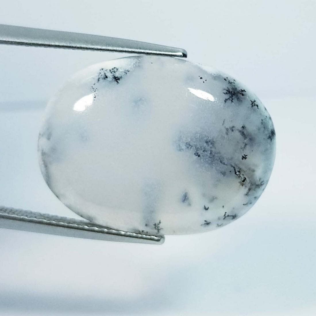 15.86 Ctz Natural Dendritic Opal (1 of 3)