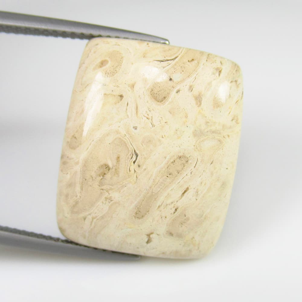 Natural Jasper - 17.33 Ct: No Reserve! Title: Natural Jasper - 17.33 Ct Origin: Brazil Weight: 17.33 Size/Dimensions: 20.0 x 17.0 x 6.0 mm Additional Information: Pieces : 1 No's / Shape : Cushion Cabochon / Color : Sandal / Cl