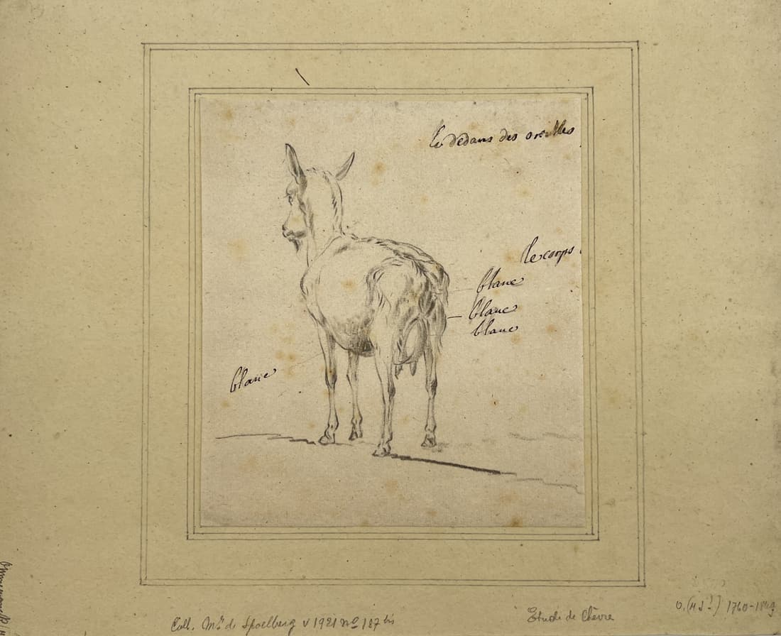 Antique Drawing - Belgium - Ommeganck - Goat Sketch - Pebcil Drawing - Animal (1 of 2)