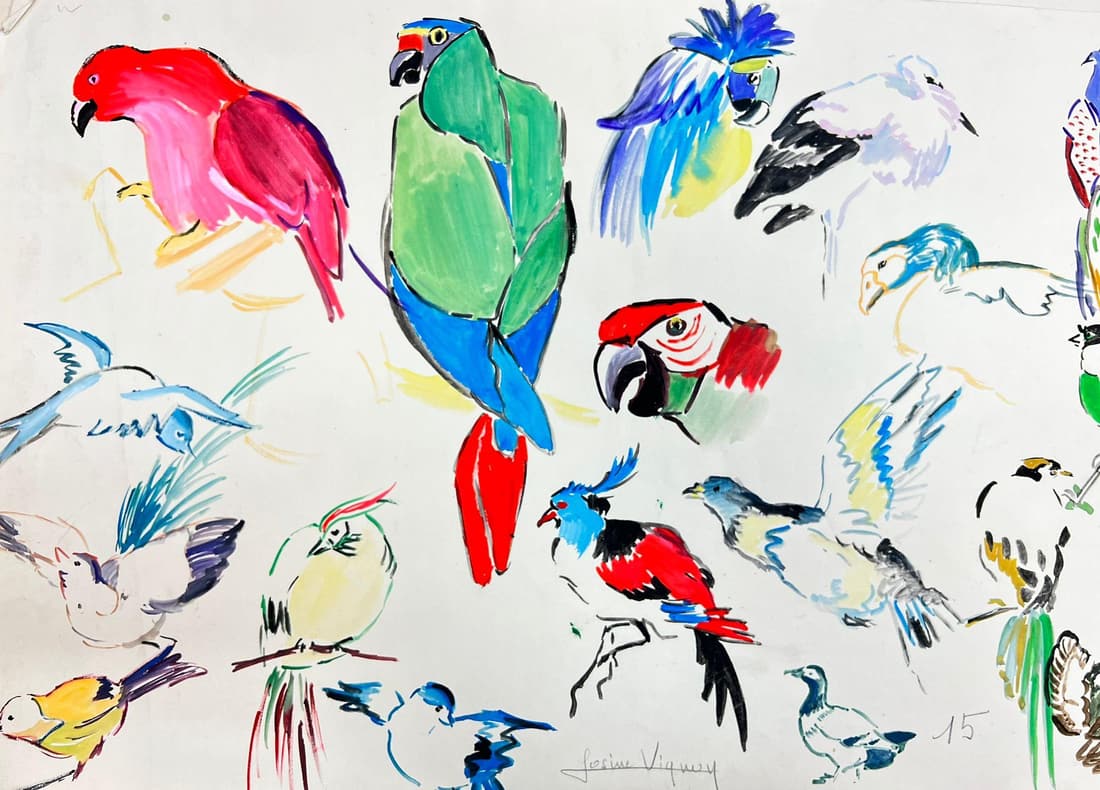 Mid Century French Illustration Sketches Of Vibrant Exotic Parrots 1960's: Parrot Sketches by Josine Vignon (French 1922-2022) signed pastel/watercolour on paper, unframed painting: 13 x 20 inches good condition provenance: from the artists estate, France Josine Vignon (1922