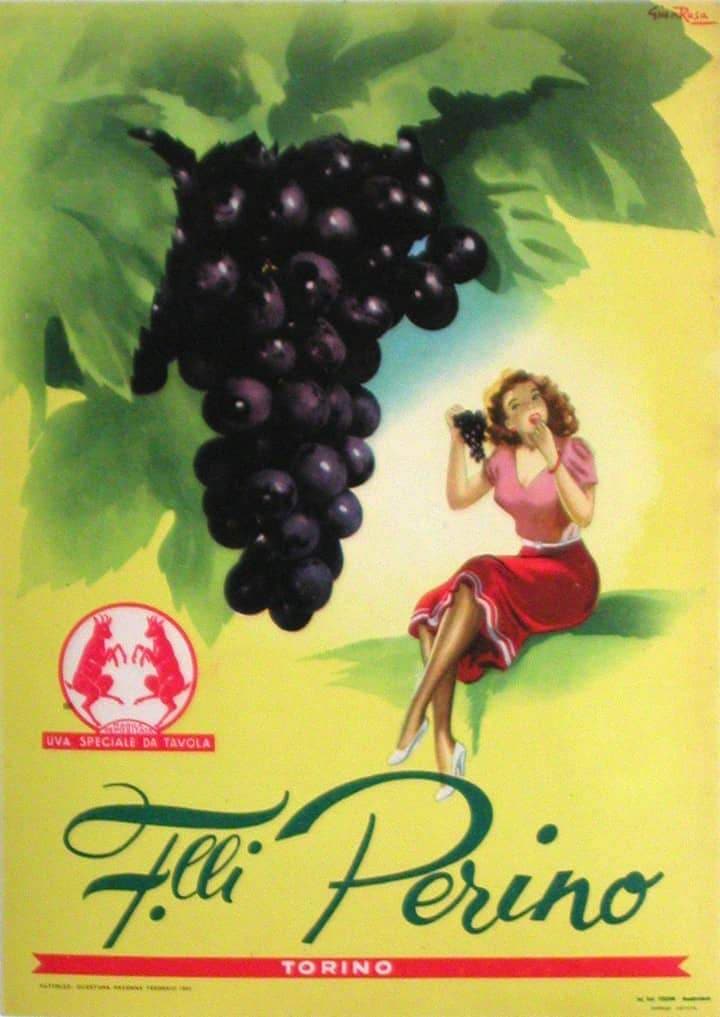 Original Italian Poster for Perino Grapes by Gian Rosa 1951 (1 of 1)