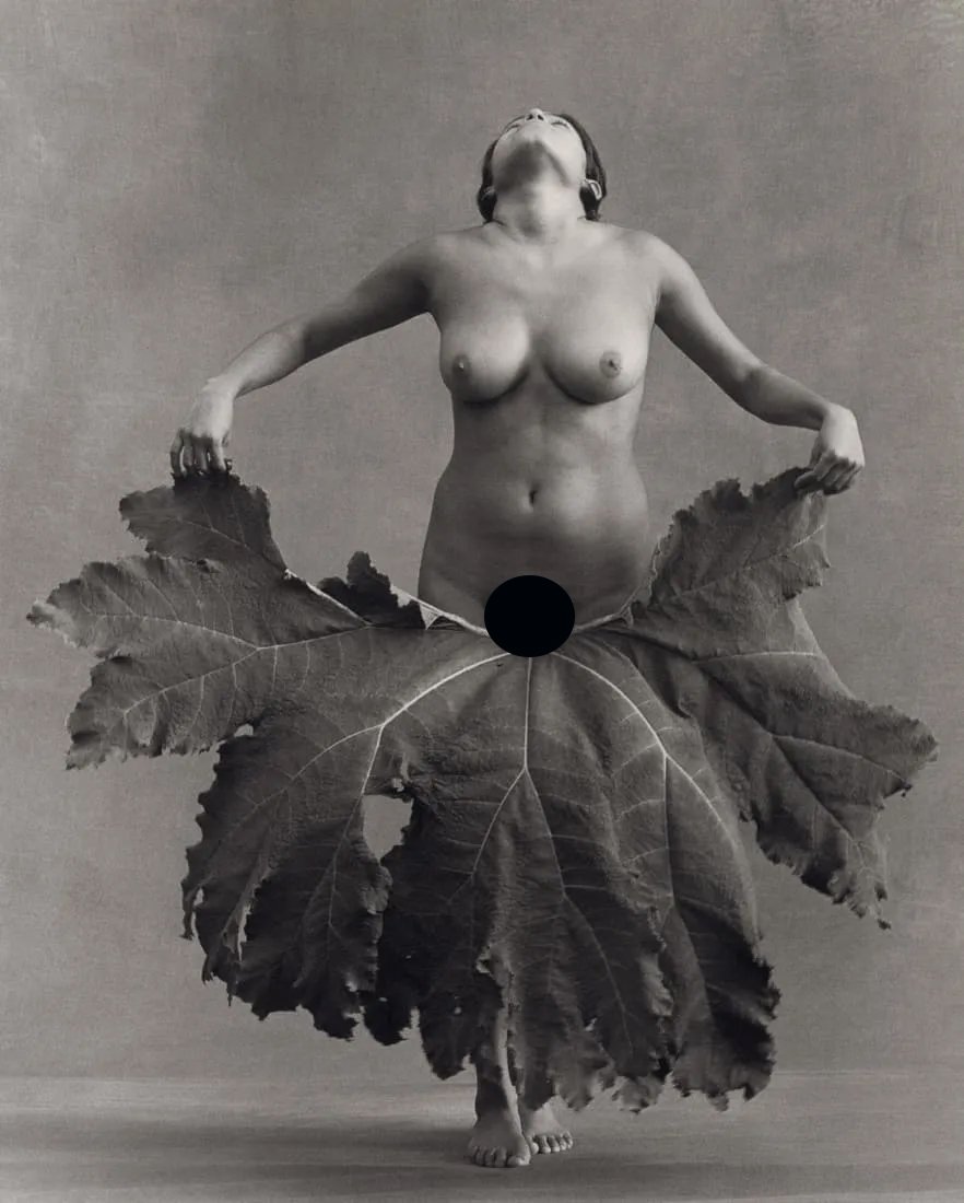 FLOR GARDUNO - Dance, Switzerland, 2001: Artist: Flor Garduno Title: Dance, Switzerland, 2001 Medium: Photo Litho, 2002, Switzerland Dimensions: 8.4x10.5" Description: Heat Wax Mounted on 11x14" Conservation board Artist Bio: Flor de MarÃ­