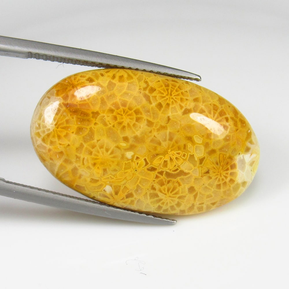 19.79 Ct - Natural Picture Jasper: No Reserve! Title: 19.79 Ct - Natural Picture Jasper Additional Information: Gemstone Gemstones: Jasper Carat Weights: 19.79 Size/Dimensions: 29.0 x 16.5 x 5.3 mm Additional Information: Pieces : 1 No