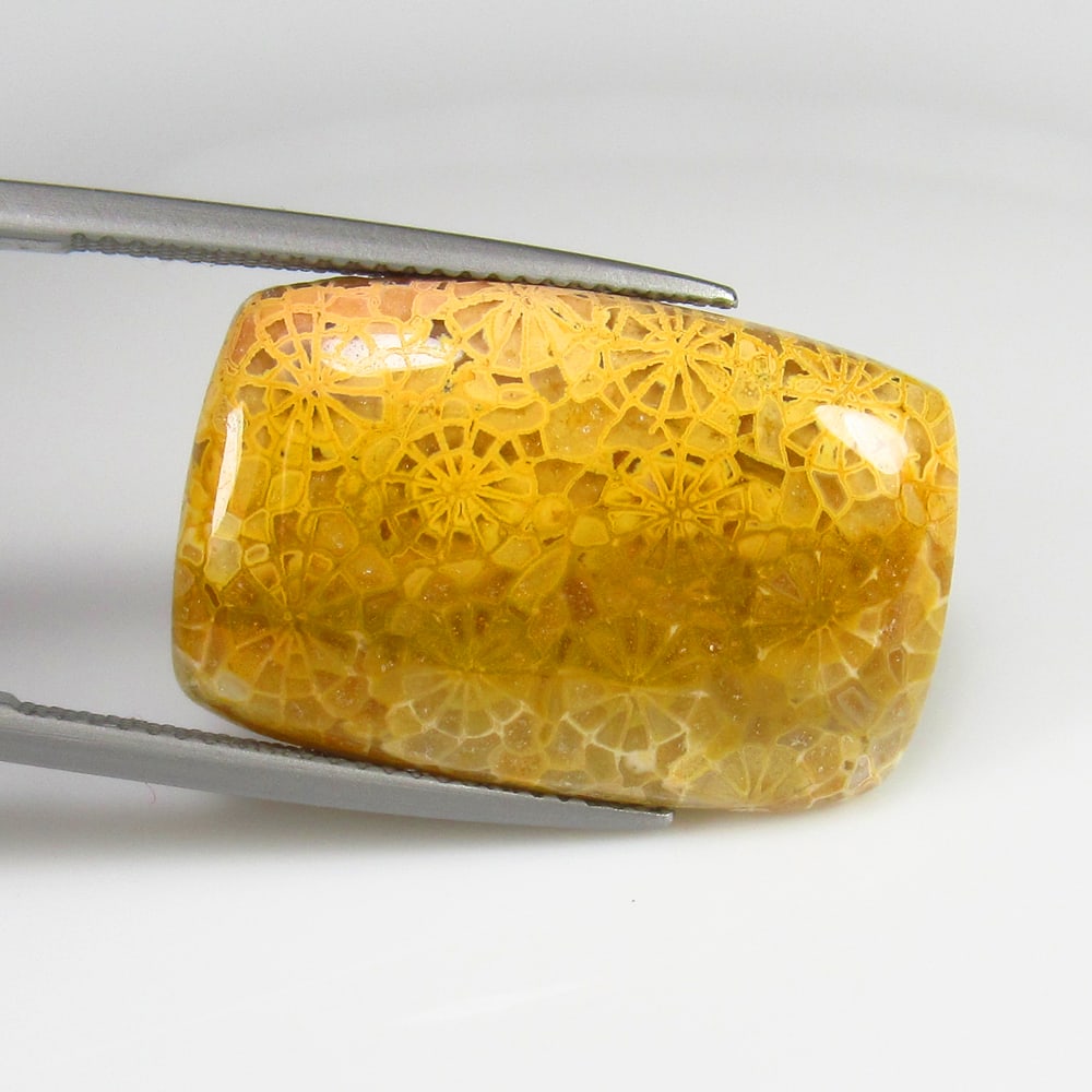 Natural Jasper - 18.35 Ct: No Reserve! Title: Natural Jasper - 18.35 Ct Origin: Brazil Weight: 18.35 Size/Dimensions: 24.0 x 15.7 x 5.0 mm Additional Information: Pieces : 1 No's / Shape : Cushion Cabochon / Color : Yellow / Cl