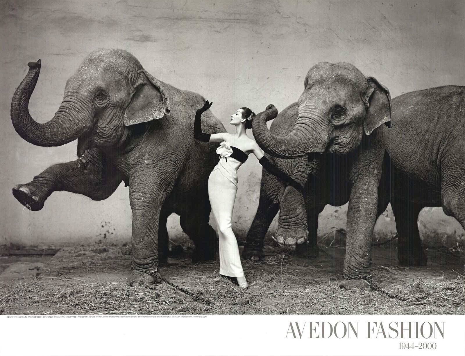 Richard Avedon - Dovima with Elephants - 2009 Offset Lithograph 23" x 30" (1 of 3)