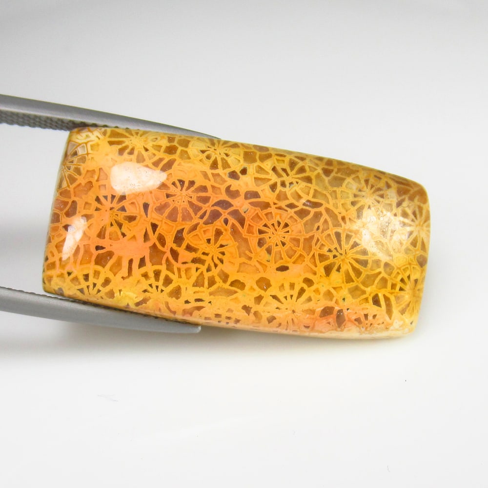 25.40 Ct - Natural Picture Jasper: No Reserve! Title: 25.40 Ct - Natural Picture Jasper Additional Information: Gemstone Gemstones: Jasper Carat Weights: 25.40 Size/Dimensions: 30.0 x 14.5 x 6.0 mm Additional Information: Pieces : 1 No