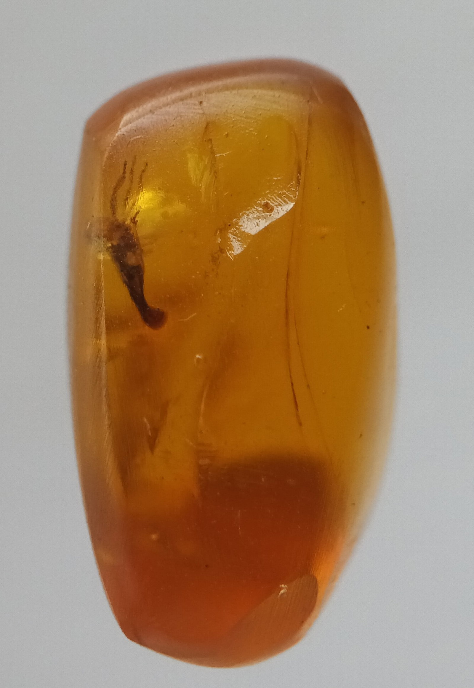 100 Mill Years Old Burmite Amber With Insect: Title: 100 Mill Years Old Burmite Amber With Insect Origin: Hukawang Valley, Kachin State, Myanmar Size: 1.7x1.1x0.9 cm / 1.07 gram Additional Information: Yellow translucent burmite amber with insect