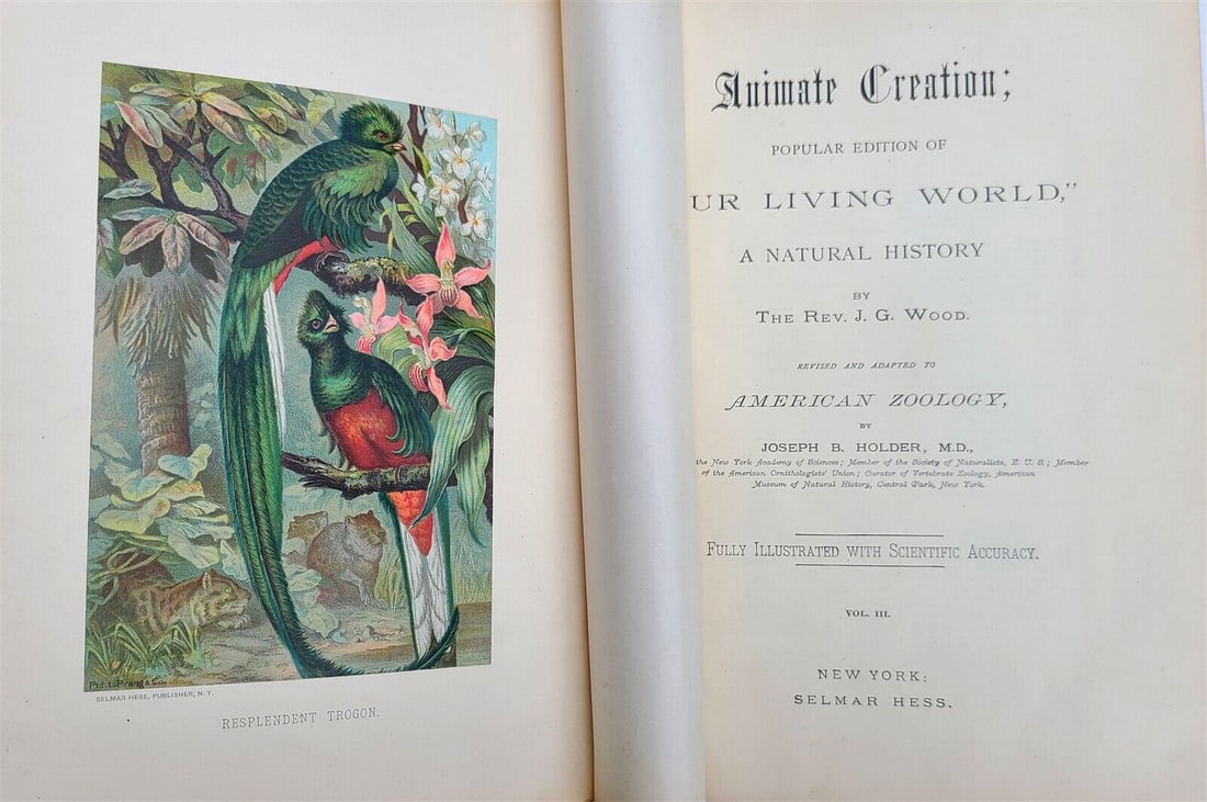 1808 ANIMATE CREATION NATURAL HISTORY antique AMERICAN ZOOLOGY ILLUSTRATED BIRDS (1 of 11)