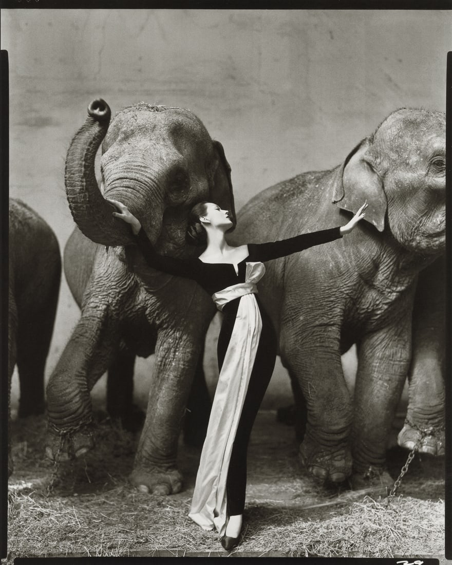 RICHARD AVEDON - Dovima With Elephants, Paris, 1955: Artist: Richard Avedon Title: Dovima With Elephants, Evening Dress By Dior, Cirque D'Hiver, Paris, 1955 Medium: Photo Litho, 2017, China Dimensions: 8.3x10.4" Description: Heat Wax Mounted on 11x14" C