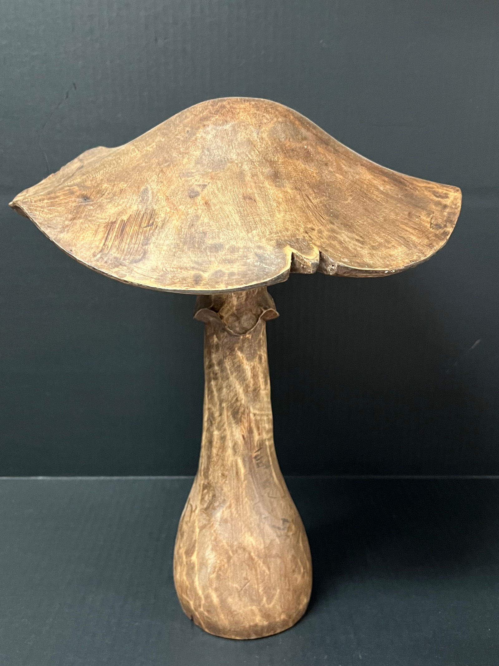 Large Mushroom Sculpture (1 of 7)
