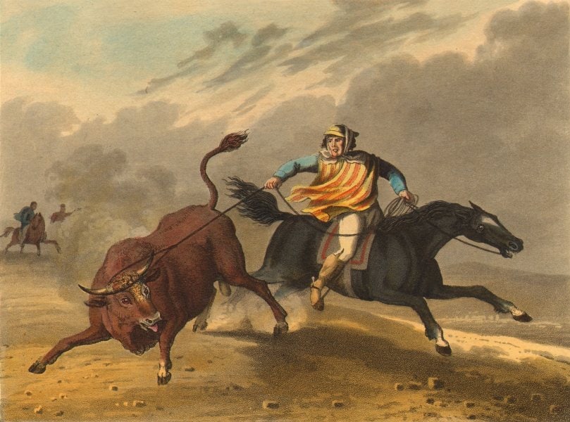 S AMERICA. Pion gaucho cowboy catching wild bull. Horse. (Edward Orme) 1814 (1 of 1)
