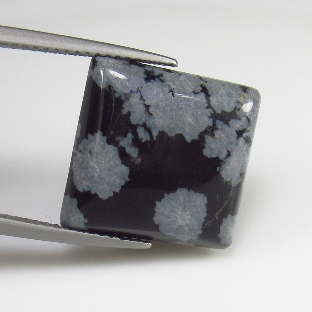 10.18 Ct - Natural Snowflake Jasper: No Reserve! Title: 10.18 Ct - Natural Snowflake Jasper Additional Information: Gemstone Gemstones: Jasper Carat Weights: 10.18 Size/Dimensions: 15.2 x 15.0 x 5.1 mm Additional Information: Pieces : 1 