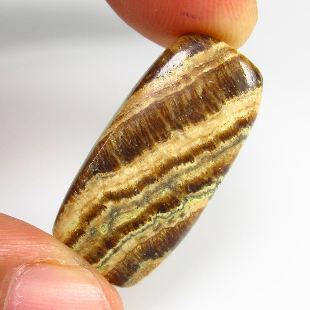 17.88 Ct - Natural Coconut Jasper: No Reserve! Title: 17.88 Ct - Natural Coconut Jasper Additional Information: Gemstone Gemstones: Jasper Carat Weights: 17.88 Size/Dimensions: 28.0 x 13.3 x 5.0 mm Additional Information: Pieces : 1 No
