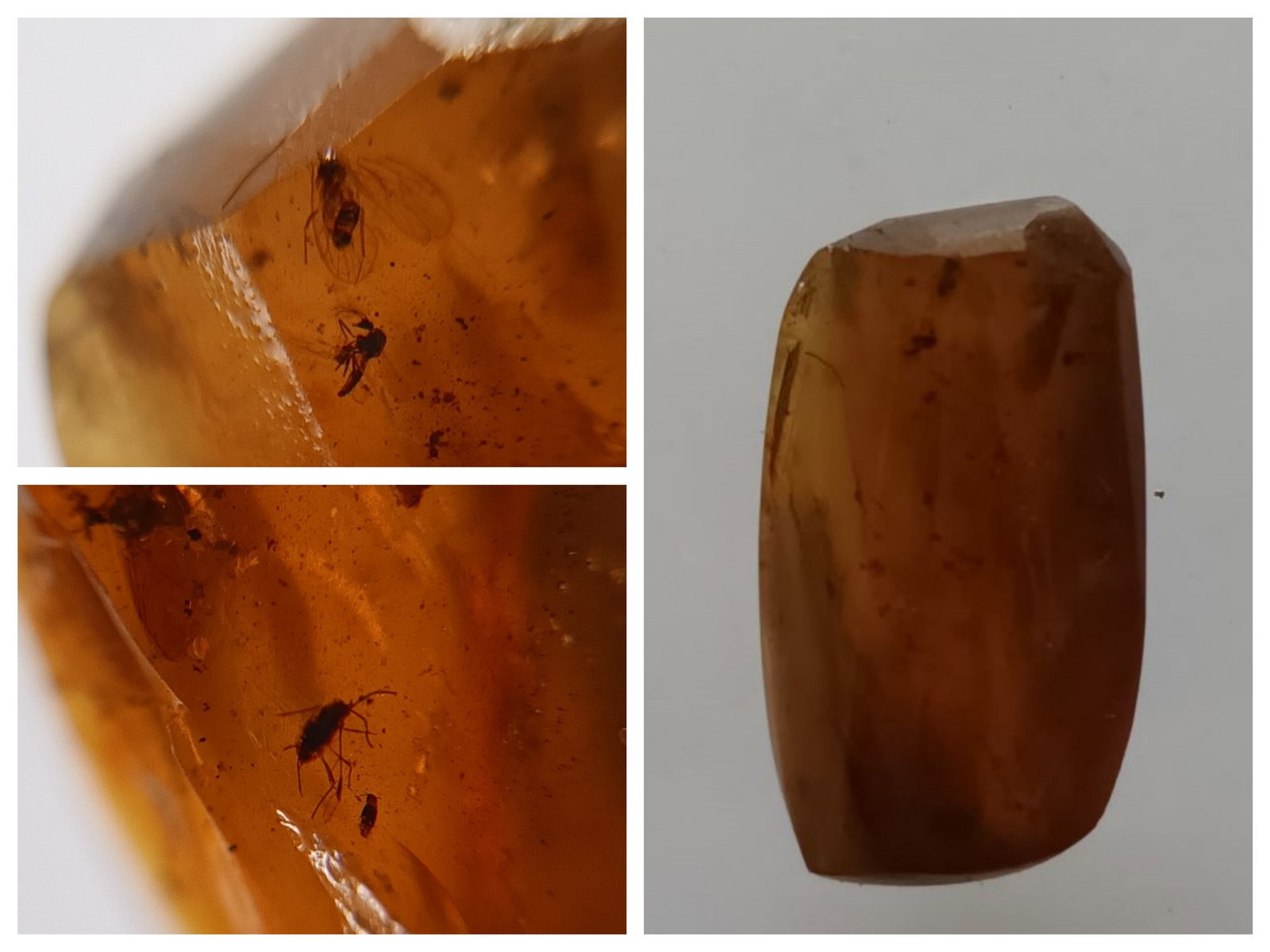 100 Mill. Years Old Burmite Amber With Fly, Mosquito & Beetle (1 of 9)
