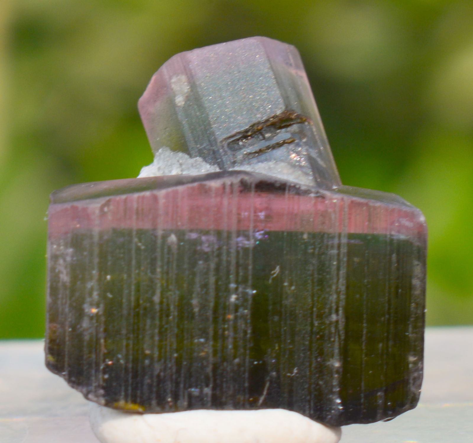 15.5 Carats Bi Colors Tourmaline Crystal (1 of 5)