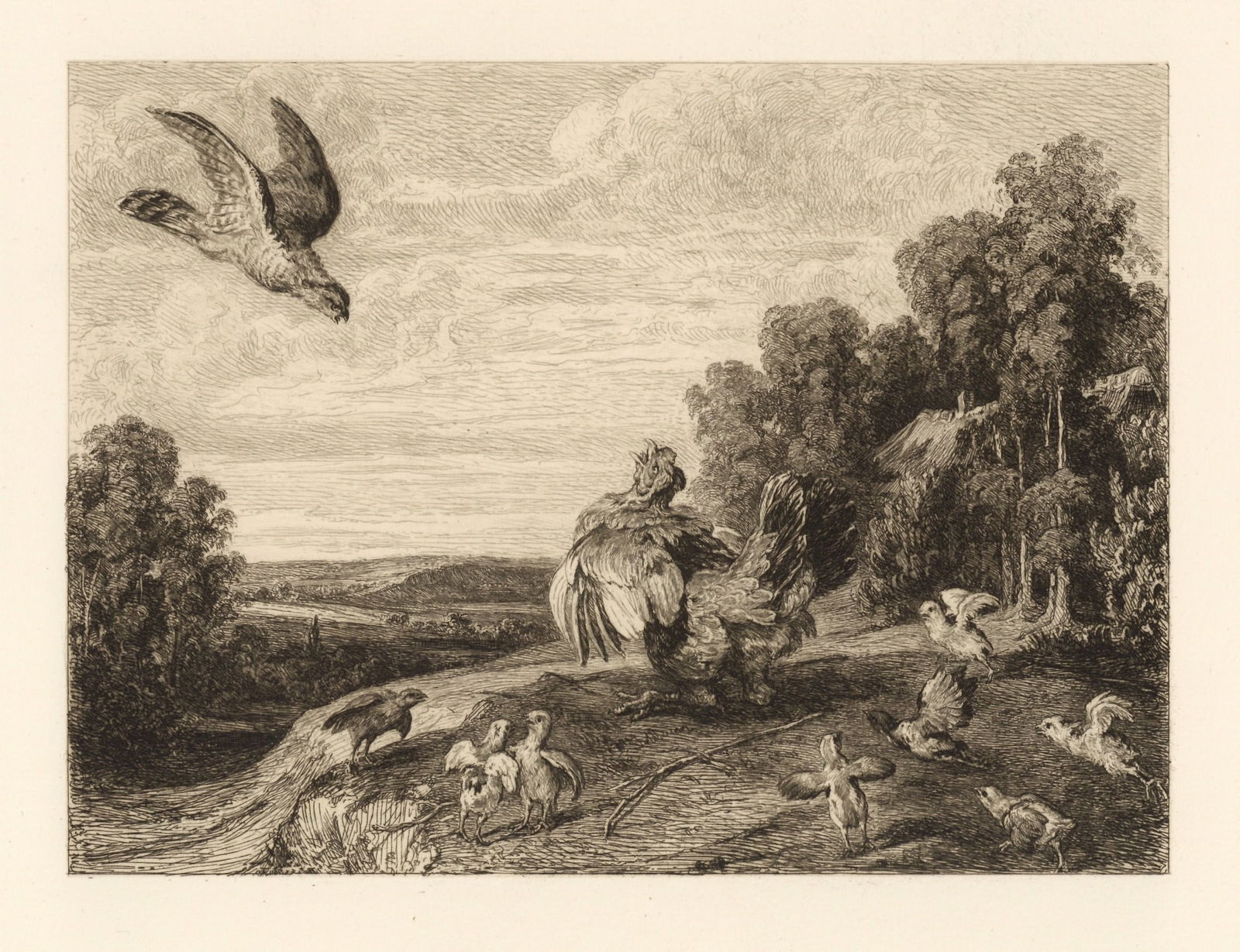 Frans Snyders | William Unger etching "Hen Guarding her Brood": Medium: etching. Etched by William Unger after Frans Snyders. This impression on on heavy wove paper was printed in 1880 for the "Etchers" portfolio. Plate size: 7 3/4 x 9 1/2 inches (198 x 240 mm). S