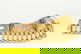 item-160490840=8
