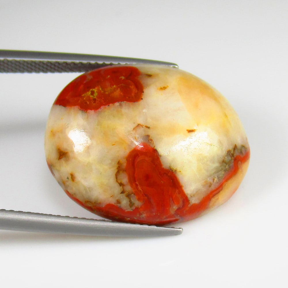 Natural Jasper - 23.19 Ct: No Reserve! Title: Natural Jasper - 23.19 Ct Origin: Brazil Weight: 23.19 Size/Dimensions: 22.0 x 18.5 x 7.0 mm Additional Information: Pieces : 1 No's / Shape : Oval Cabochon / Color : Orange / Clari