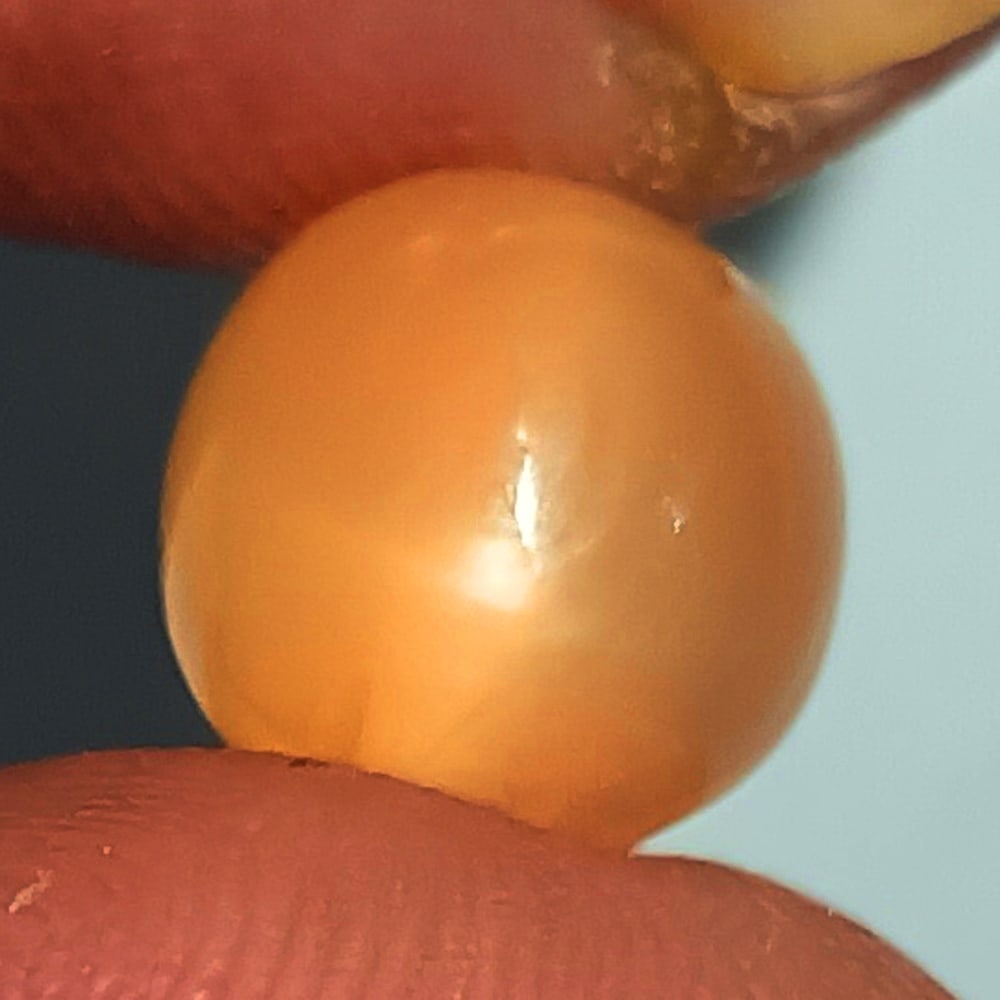 2.55 Ctw Natural Moonstone Round Cab: No Reserve! Title: 2.55 Ctw Natural Moonstone Round Cab Stone Clarity: Translucent Gemstones: Natural Moonstone Carat Weights: 2.55 Size/Dimensions: 8.00 x 8.00 x 5.70 mm Additional Information: Excel