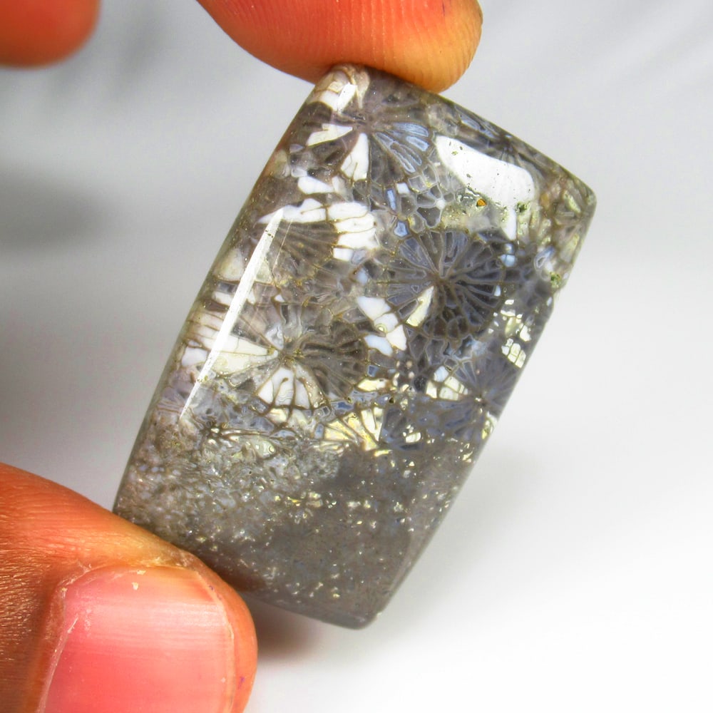 Natural Picture Jasper - 37.92 Ct: No Reserve! Title: Natural Picture Jasper - 37.92 Ct Origin: Brazil Weight: 37.92 Size/Dimensions: 33.0 x 20.0 x 6.3 mm Additional Information: Pieces : 1 No's / Shape : Octagon Cabochon / Color : Gre