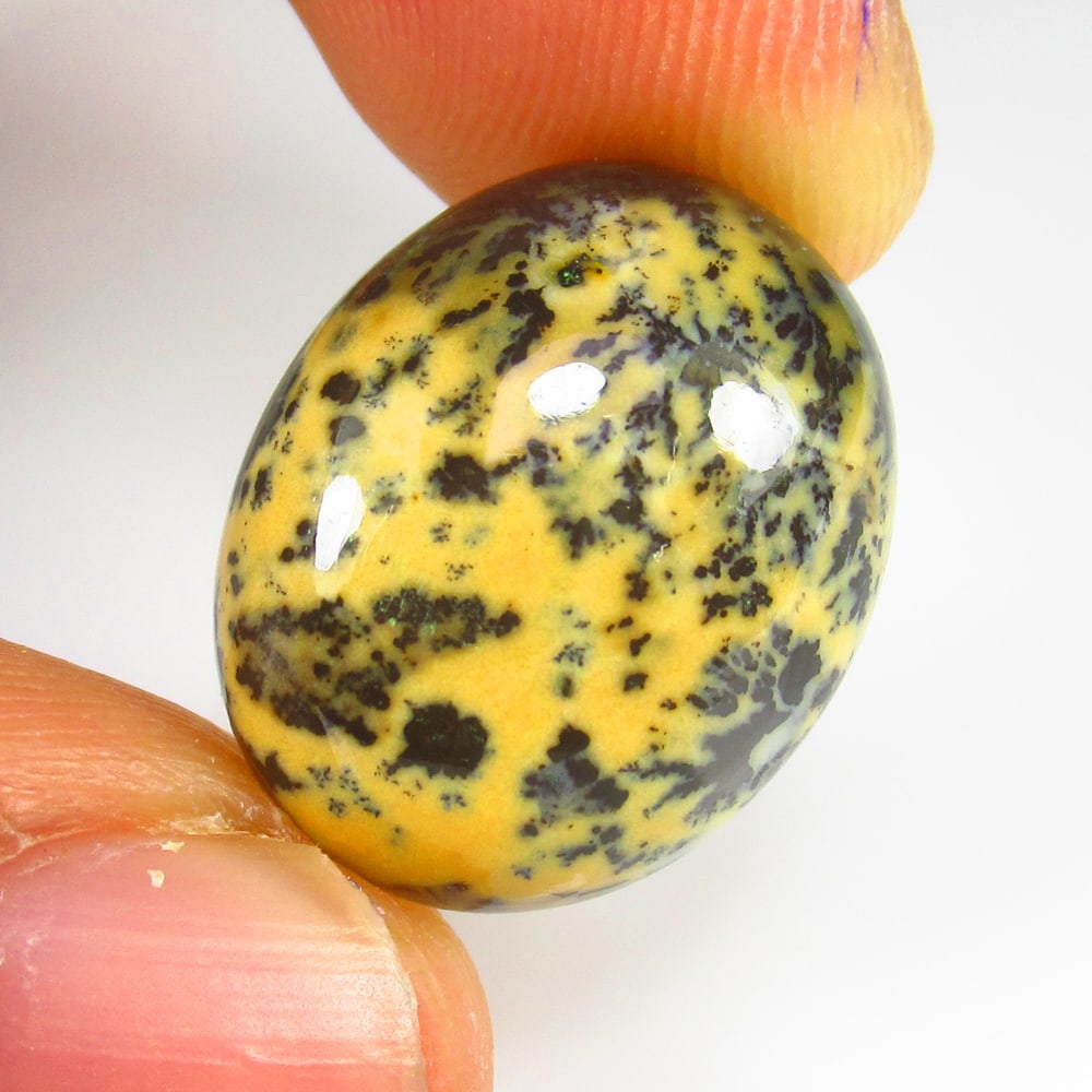 Natural Bumblbee Jasper - 14.30 Ct: No Reserve! Title: Natural Bumblbee Jasper - 14.30 Ct Origin: Brazil Weight: 14.30 Size/Dimensions: 19.0 x 15.0 x 6.8 mm Additional Information: Pieces : 1 No's / Shape : Oval Cabochon / Color : Yello