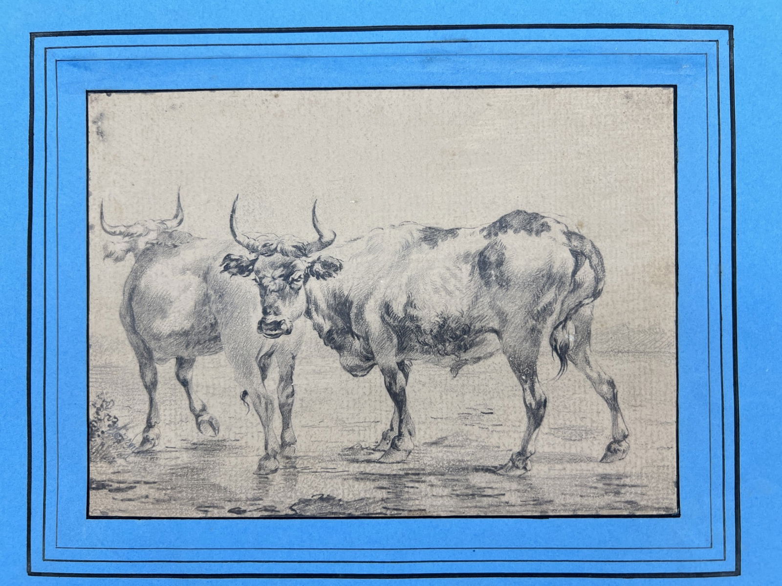 Antique Drawing - Belgium - Animal Sketch - Verreyt - Cow Image - Black Pencil (1 of 4)