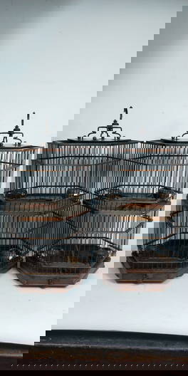 Birdcages & Bird Houses