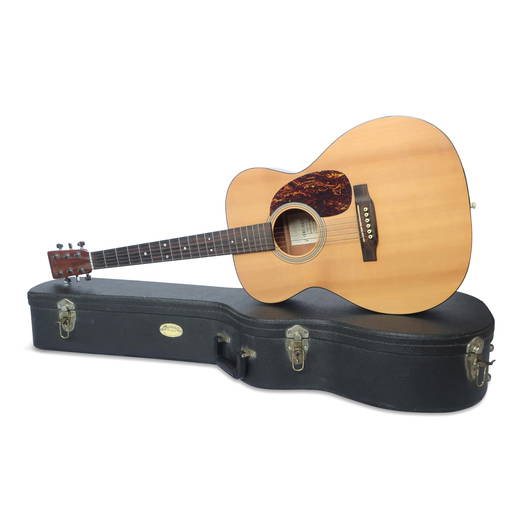 Guitars & Guitar Cases