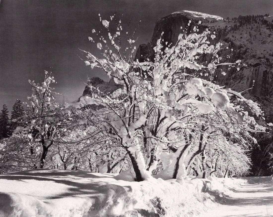 ANSEL ADAMS - Half Dome, Orchard, Winter at Yosemite, c. 1935: Title: ANSEL ADAMS - Half Dome, Orchard, Winter at Yosemite, c. 1935 Description: Artist: ANSEL ADAMS Print Title: Half Dome, Orchard, Winter at Yosemite, c. 1935 Medium: Photolithograph Printed 1970&