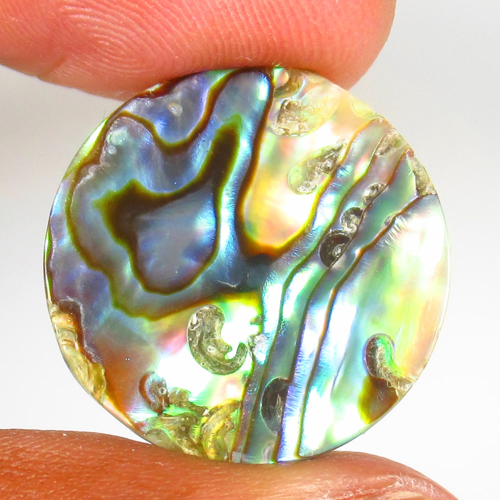 8.27 Ct - Natural Shining Abalone Shell (1 of 2)
