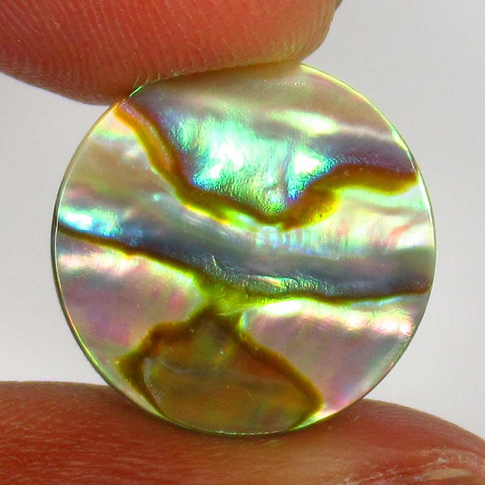 4.00 Ct - Natural Shining Abalone Shell (1 of 2)
