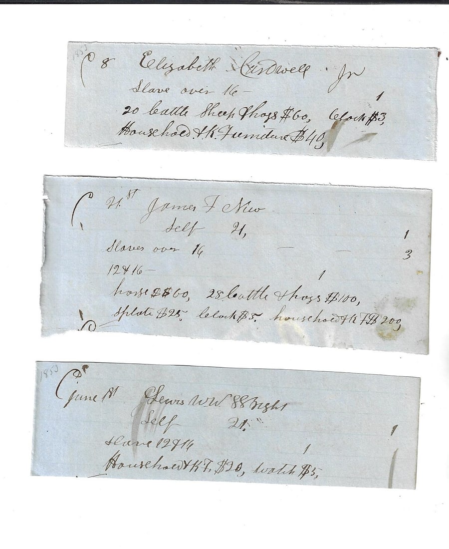 1854 Three Manuscript Tax Assessments Slaves (1 of 3)