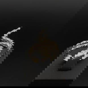 925 Silver Snake Ring,Ladies Ring: Title: 925 Silver Snake Ring,Ladies Ring Additional Information: 925 Silver Snake Ring,Ladies Ring -Total Weight:6.4g -Size: US Size 9.50 (19.50mm) With Gift Box Express Shipping.Carrier:DHL Express C