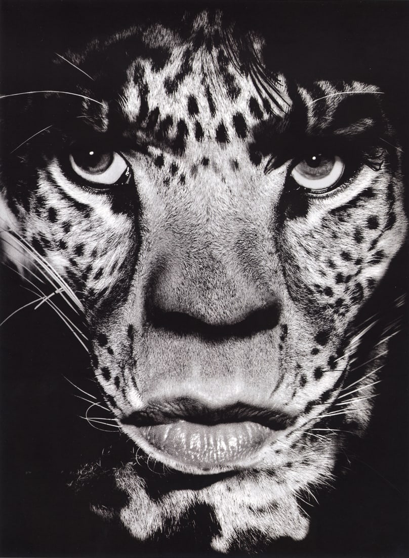ALBERT WATSON - Mick Jagger, Los Angeles, June 1992: Artist: Albert Watson Title: Mick Jagger, Los Angeles, Rolling Stone, June 1992 Medium: Photo Litho, 2014, Italy Dimensions: 9.2x12.5" Description: Heat Wax Mounted on 12x16" Conservation Board Artist